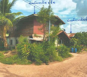 ขายทอดตลาด ที่ดินพร้อมสิ่งปลูกสร้าง ต.ปลาปาก อ.ปลาปาก จ.นครพนม