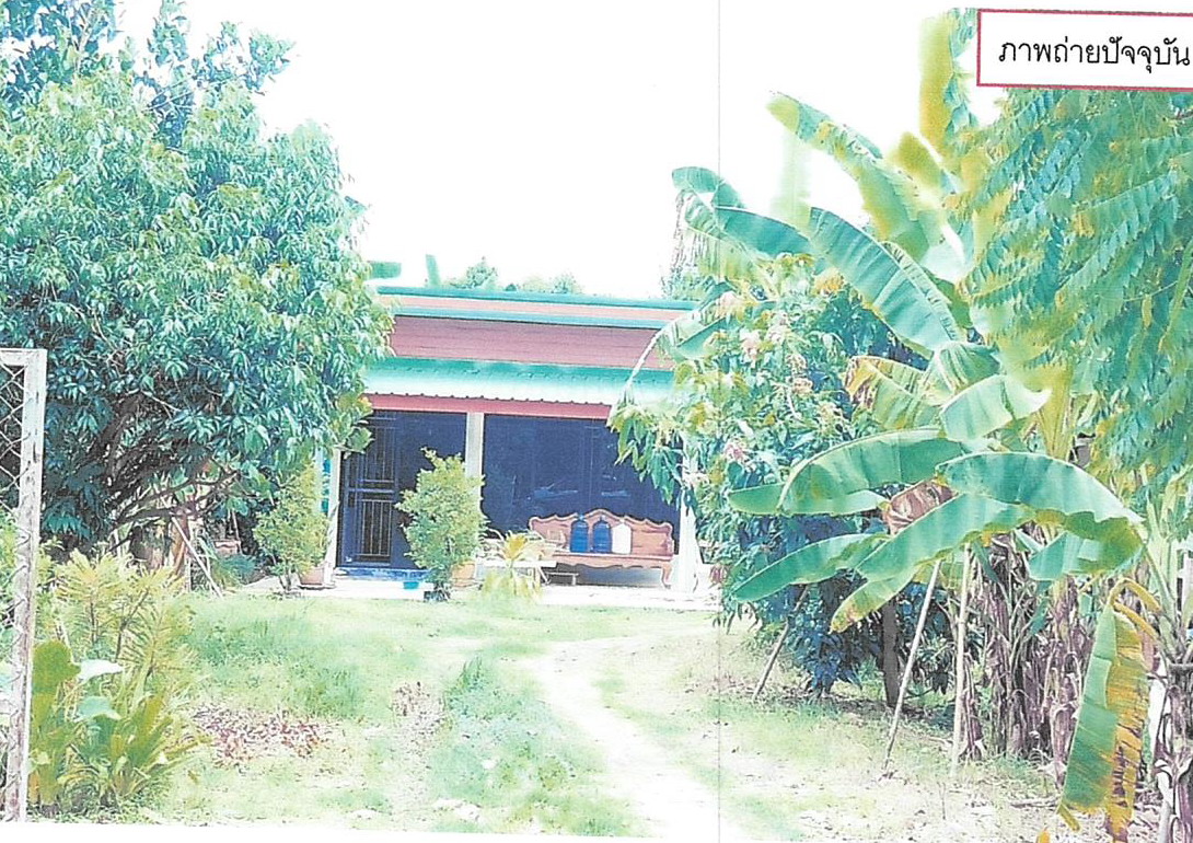 ขายทอดตลาด ที่ดินพร้อมสิ่งปลูกสร้าง ต.ชัยนาท อ.เมืองชัยนาท จ.ชัยนาท