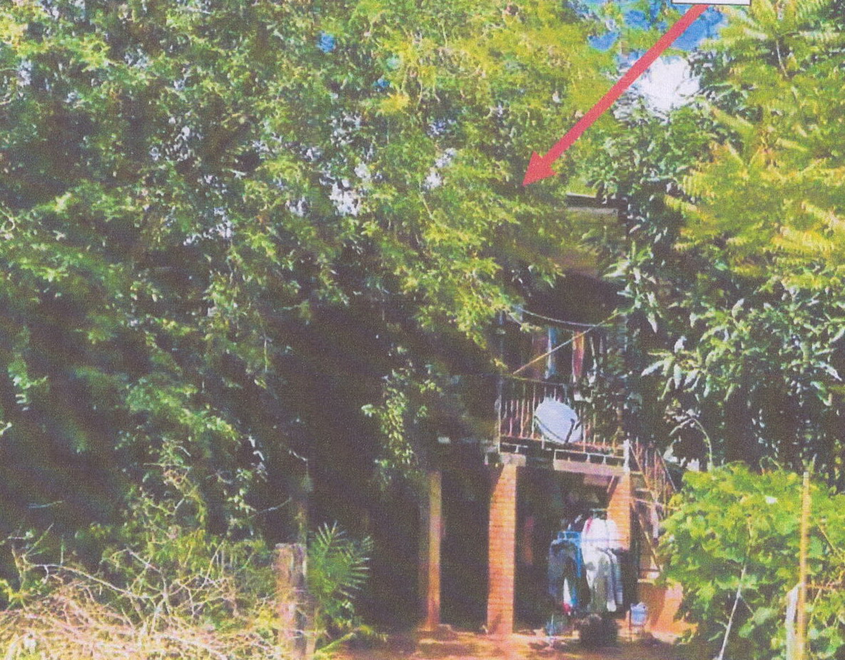 ขายทอดตลาด ที่ดินพร้อมสิ่งปลูกสร้าง ต.ทานตะวัน อ.พาน จ.เชียงราย