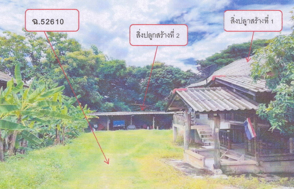 ขายทอดตลาด ที่ดินพร้อมสิ่งปลูกสร้าง ต.ทานตะวัน อ.พาน จ.เชียงราย
