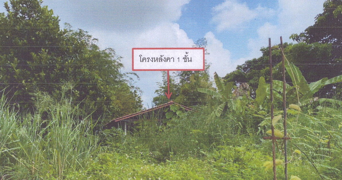 ขายทอดตลาด ที่ดินพร้อมสิ่งปลูกสร้าง ต.ท่าข้าวเปลือก อ.แม่จัน จ.เชียงราย