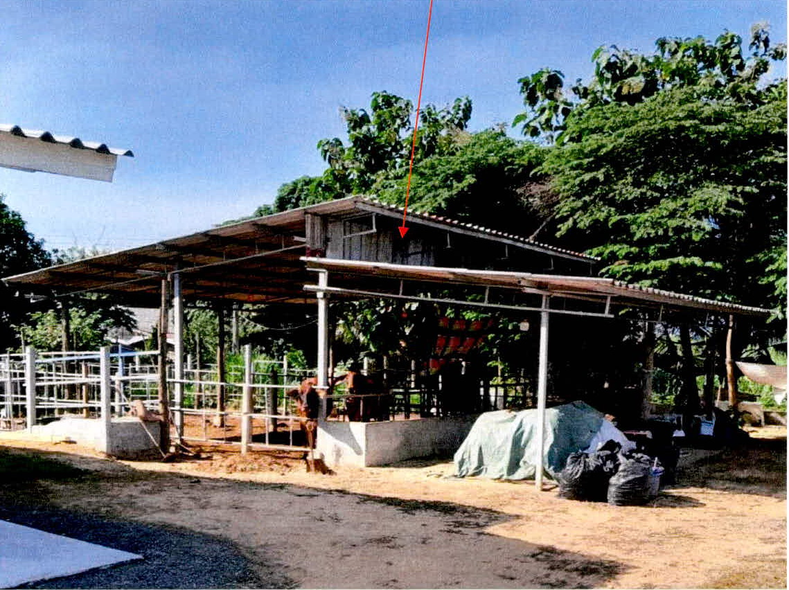 ขายทอดตลาด ที่ดินพร้อมสิ่งปลูกสร้าง ต.อุโลกสี่หมื่น อ.ท่ามะกา จ.กาญจนบุรี