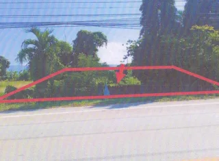 รูปทรัพย์ 1