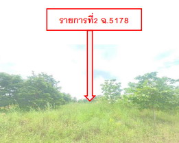 ขายทอดตลาด ที่ดินว่างเปล่า ต.กลอนโด อ.ด่านมะขามเตี้ย จ.กาญจนบุรี