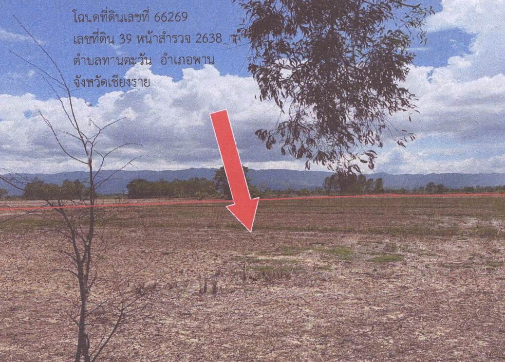 ขายทอดตลาด ที่ดินว่างเปล่า ต.ทานตะวัน อ.พาน จ.เชียงราย