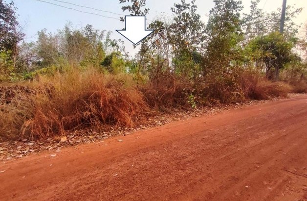 ขายทอดตลาด ที่ดินว่างเปล่า ต.พระซอง อ.นาแก จ.นครพนม