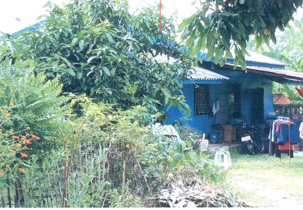 ขายทอดตลาด ที่ดินพร้อมสิ่งปลูกสร้าง ต.เมืองพาน อ.พาน จ.เชียงราย