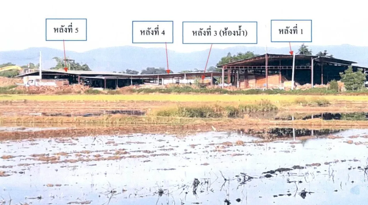 ขายทอดตลาด ที่ดินพร้อมสิ่งปลูกสร้าง ต.แม่สรวย อ.แม่สรวย จ.เชียงราย