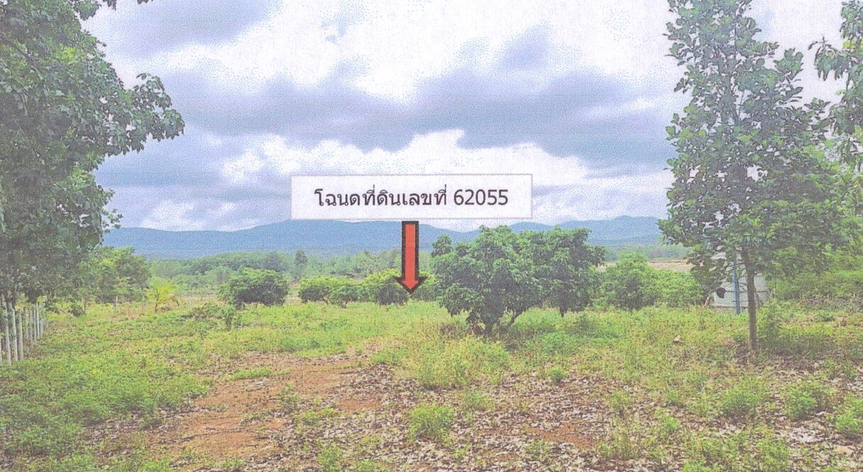 ขายทอดตลาด ที่ดินว่างเปล่า ต.ห้วยสัก อ.เมืองเชียงราย จ.เชียงราย