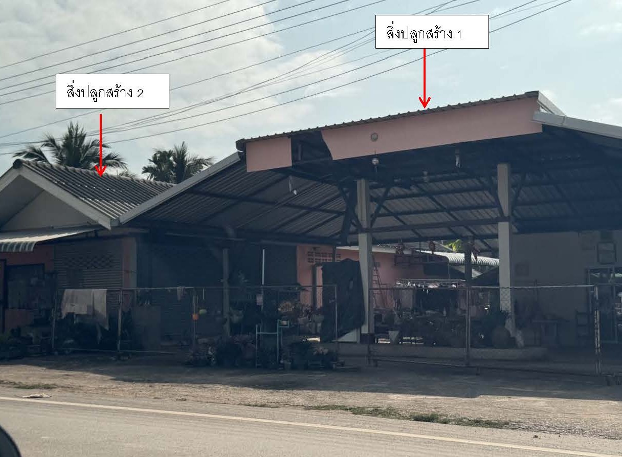 ขายทอดตลาด ที่ดินพร้อมสิ่งปลูกสร้าง ต.ดอนศิลา อ.เวียงชัย จ.เชียงราย