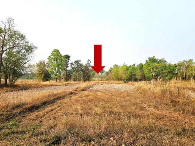 ขายทอดตลาด ที่ดินว่างเปล่า จ.อุทัยธานี