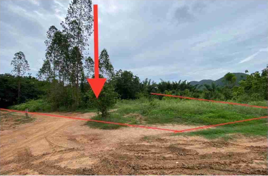 ขายทอดตลาด ที่ดินว่างเปล่า ต.ศรีมงคล อ.ไทรโยค จ.กาญจนบุรี