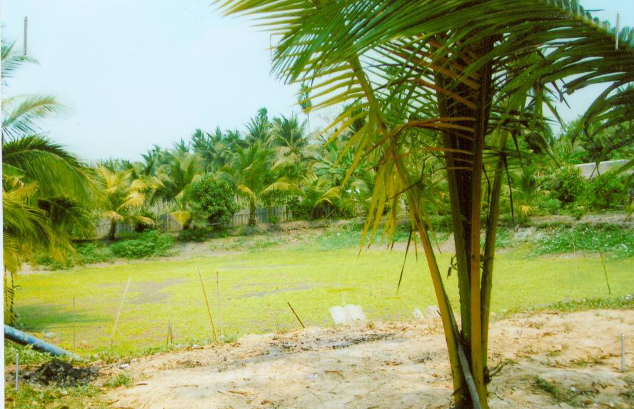 ขายทอดตลาด ที่ดินว่างเปล่า ต.คลองจินดา อ.สามพราน จ.นครปฐม