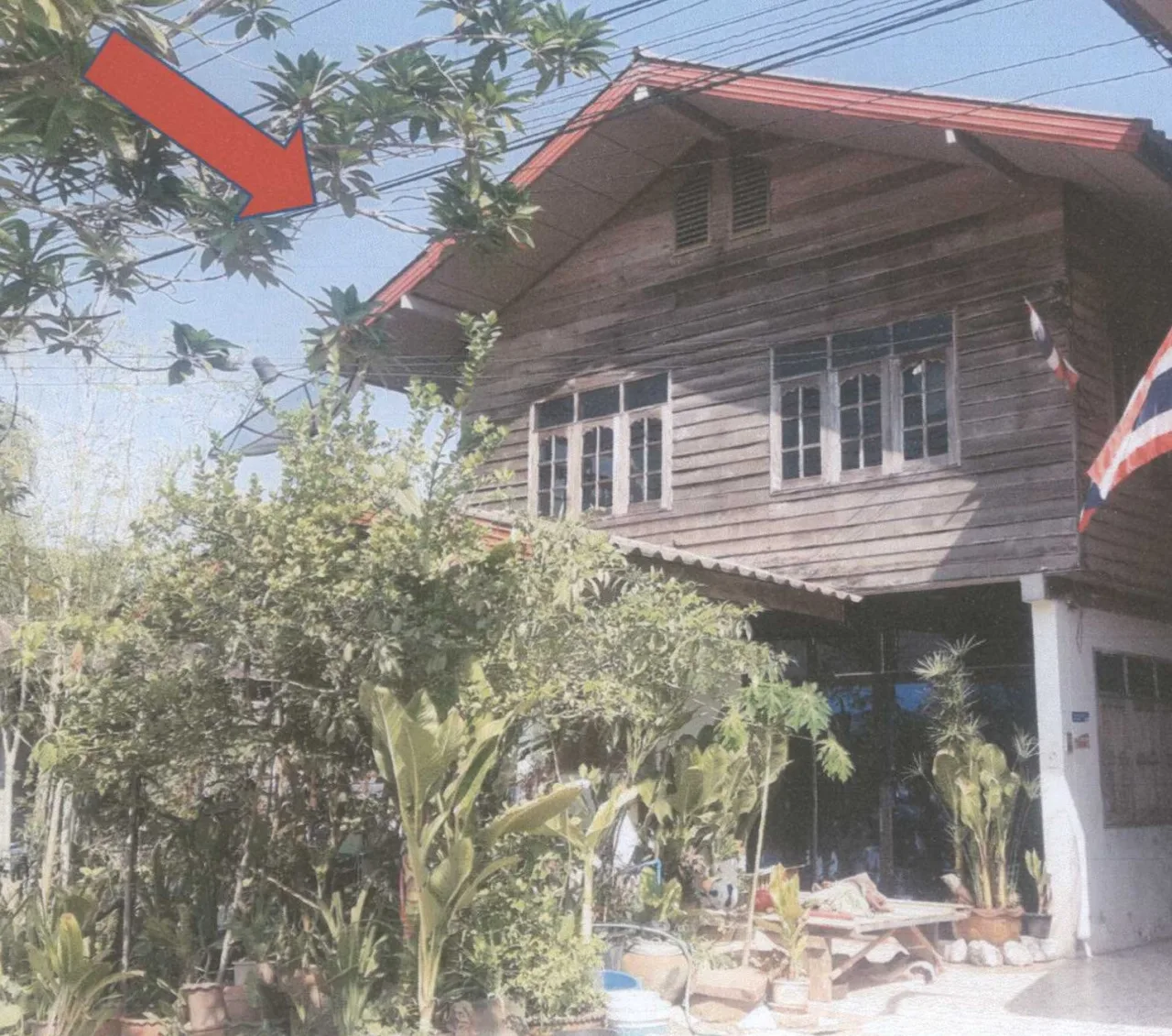 ขายทอดตลาด ที่ดินพร้อมสิ่งปลูกสร้าง ต.ท่าจำปา อ.ท่าอุเทน จ.นครพนม