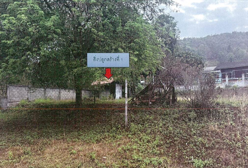 ขายทอดตลาด ที่ดินพร้อมสิ่งปลูกสร้าง ต.แม่เจดีย์ใหม่ อ.เวียงป่าเป้า จ.เชียงราย