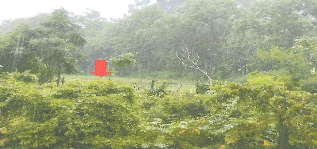 ขายทอดตลาด ที่ดินว่างเปล่า ต.ท้องฟ้า อ.บ้านตาก จ.ตาก