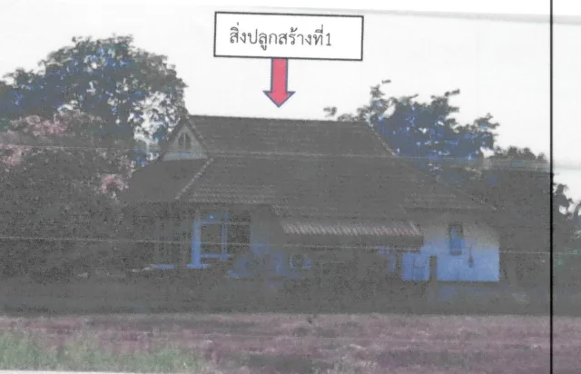 ขายทอดตลาด ที่ดินพร้อมสิ่งปลูกสร้าง ต.มะขามเฒ่า อ.วัดสิงห์ จ.ชัยนาท