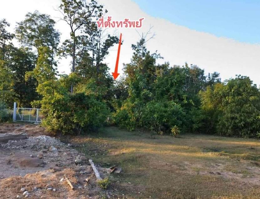 ขายทอดตลาด ที่ดินว่างเปล่า ต.น้ำรึม อ.เมืองตาก จ.ตาก