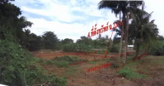 รูปทรัพย์ 3