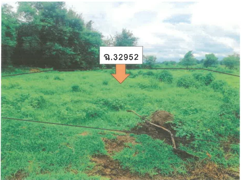 ขายทอดตลาด ที่ดินว่างเปล่า ต.โป่งแดง อ.เมืองตาก จ.ตาก