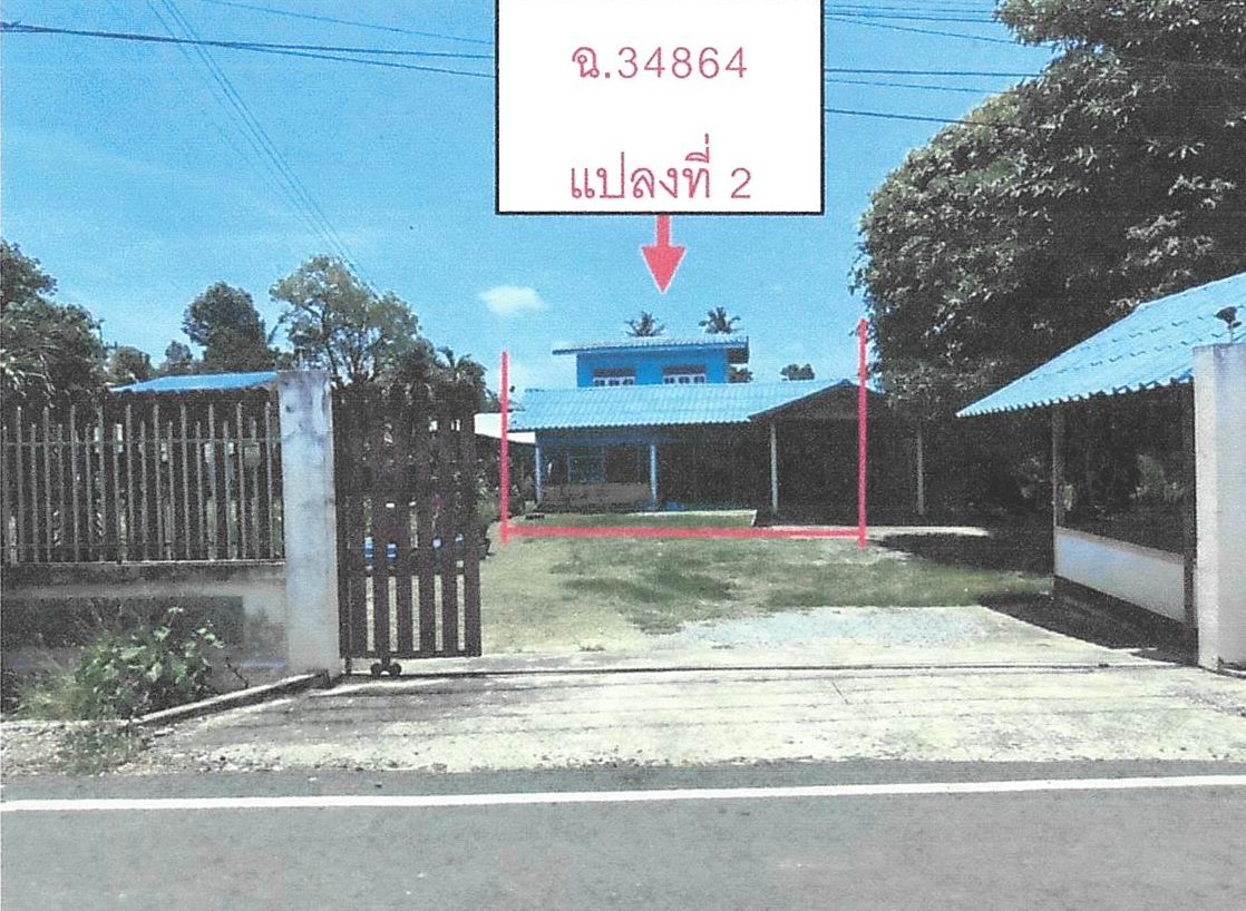 ขายทอดตลาด ที่ดินว่างเปล่า ต.บางขุด อ.สรรคบุรี จ.ชัยนาท