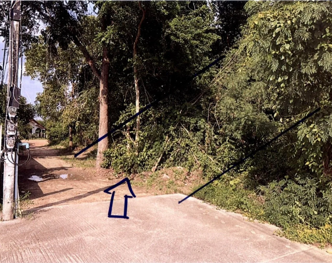 ขายทอดตลาด ที่ดินว่างเปล่า ต.น้ำรึม อ.เมืองตาก จ.ตาก