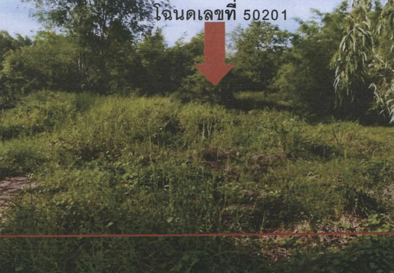 ขายทอดตลาด ที่ดินว่างเปล่า ต.วังประจบ อ.เมืองตาก จ.ตาก