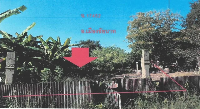ขายทอดตลาด ที่ดินว่างเปล่า ต.สรรพยา อ.สรรพยา จ.ชัยนาท