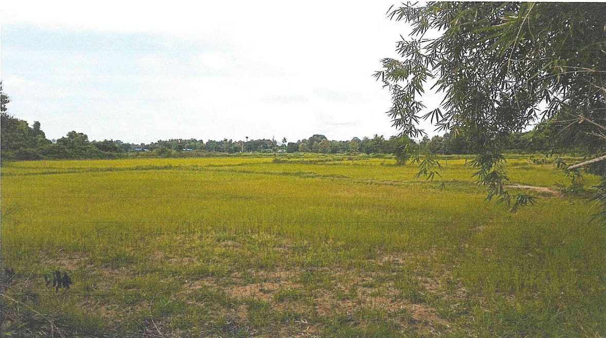 ขายทอดตลาด ที่ดินว่างเปล่า ต.โป่งแดง อ.เมืองตาก จ.ตาก