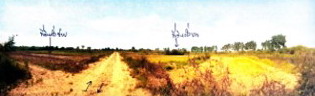 ขายทอดตลาด ที่ดินว่างเปล่า ต.ท่าบ่อสงคราม อ.ศรีสงคราม จ.นครพนม