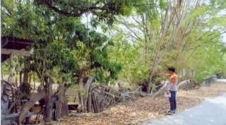 รูปทรัพย์ 1