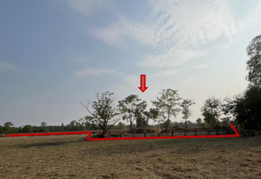 ขายทอดตลาด ที่ดินว่างเปล่า ต.หนองแวง อ.บ้านแพง จ.นครพนม