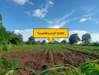 รูปทรัพย์ 1