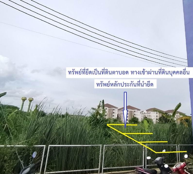 ขายทอดตลาด ที่ดินว่างเปล่า ต.ไร่ขิง อ.สามพราน จ.นครปฐม