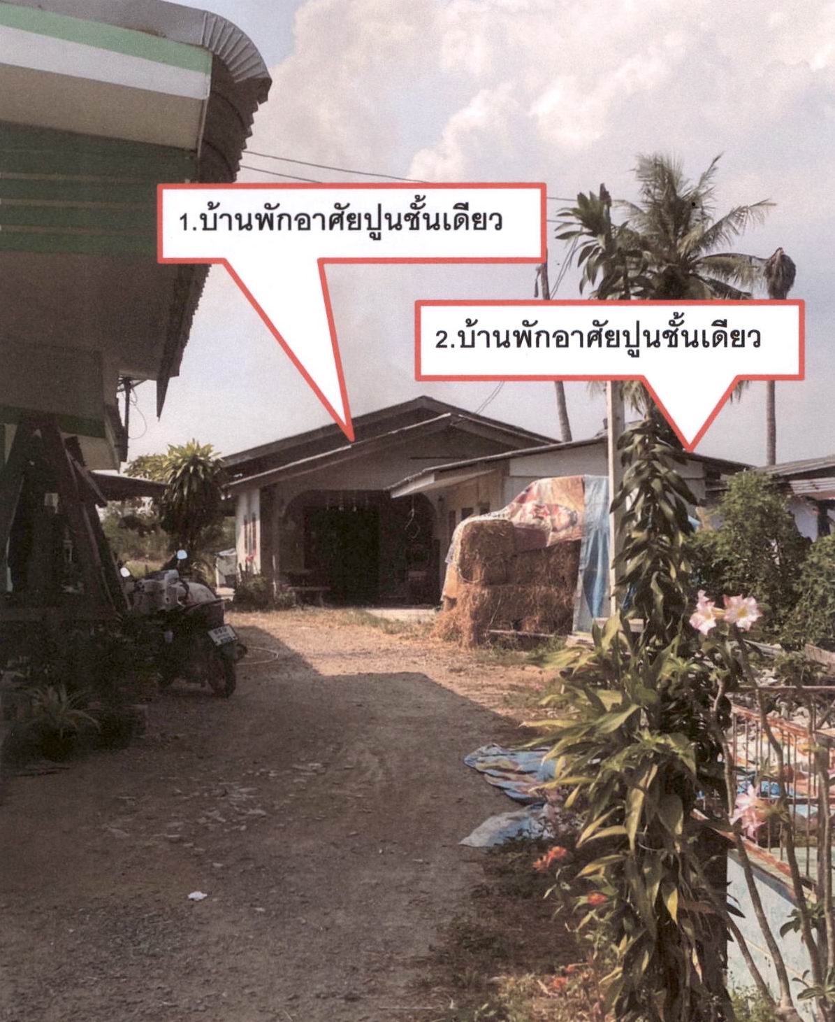 ขายทอดตลาด ที่ดินพร้อมสิ่งปลูกสร้าง ต.หนองกระทุ่ม อ.กำแพงแสน จ.นครปฐม
