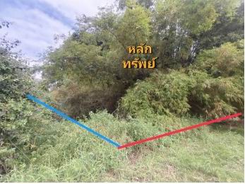 ขายทอดตลาด ที่ดินว่างเปล่า ต.ดงลิง อ.กมลาไสย จ.กาฬสินธุ์