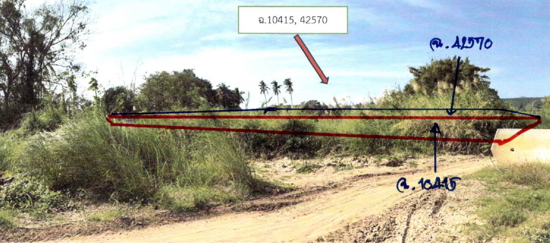 ขายทอดตลาด ที่ดินว่างเปล่า ต.อินทขิล อ.แม่แตง จ.เชียงใหม่