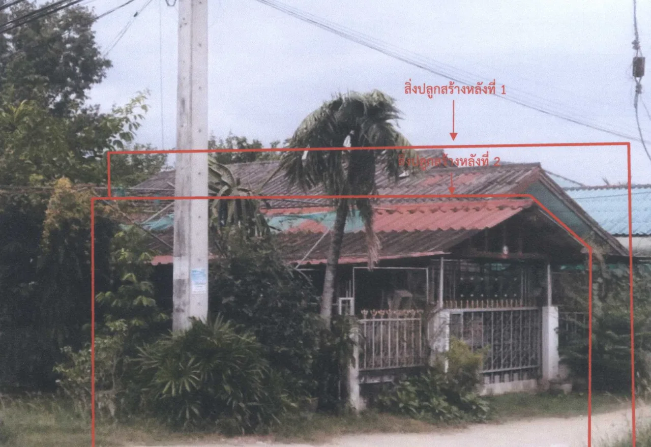 ขายทอดตลาด ที่ดินพร้อมสิ่งปลูกสร้าง ต.วังหมัน อ.สามเงา จ.ตาก
