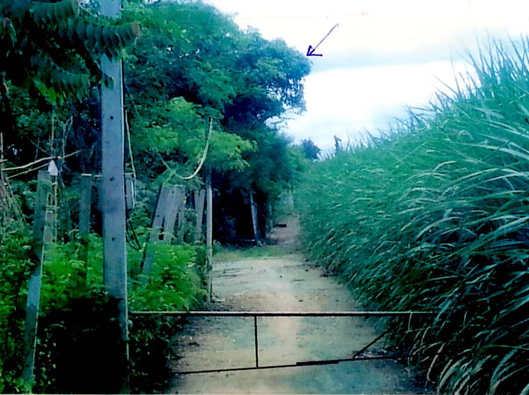 ขายทอดตลาด ที่ดินว่างเปล่า จ.กาญจนบุรี