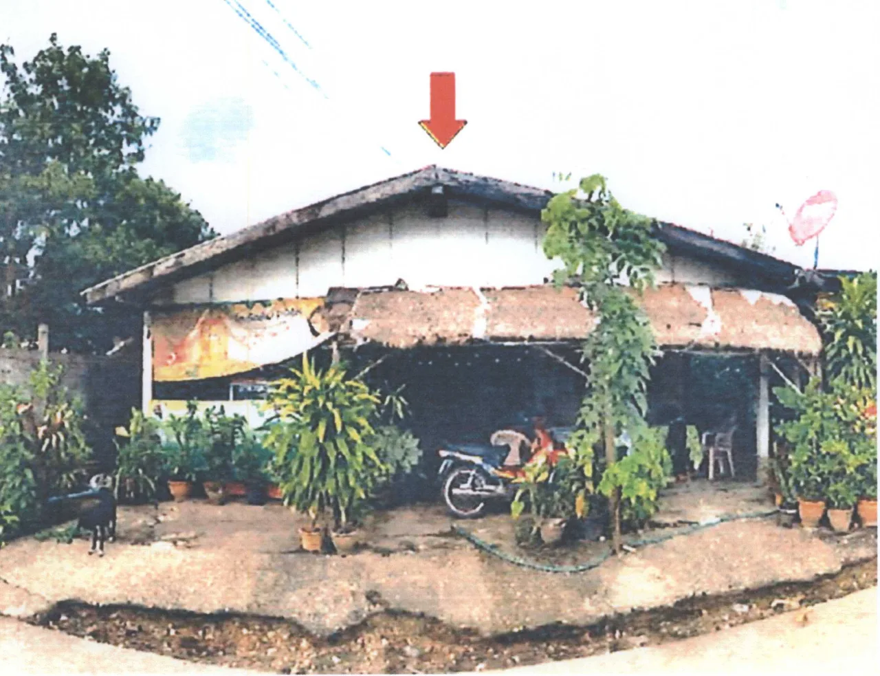 ขายทอดตลาด ที่ดินพร้อมสิ่งปลูกสร้าง ต.นาทราย อ.เมืองนครพนม จ.นครพนม