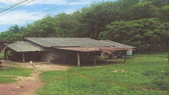 ขายทอดตลาด ที่ดินพร้อมสิ่งปลูกสร้าง ต.เกาะกลาง อ.เกาะลันตา จ.กระบี่