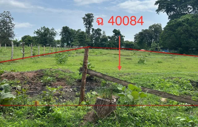 ขายทอดตลาด ที่ดินว่างเปล่า ต.วังประจบ อ.เมืองตาก จ.ตาก