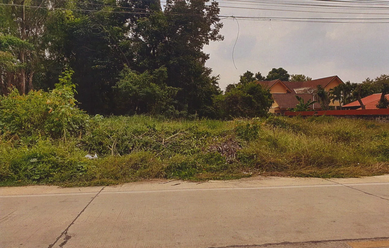 ขายทอดตลาด ที่ดินว่างเปล่า ต.หวายเหนียว อ.ท่ามะกา จ.กาญจนบุรี