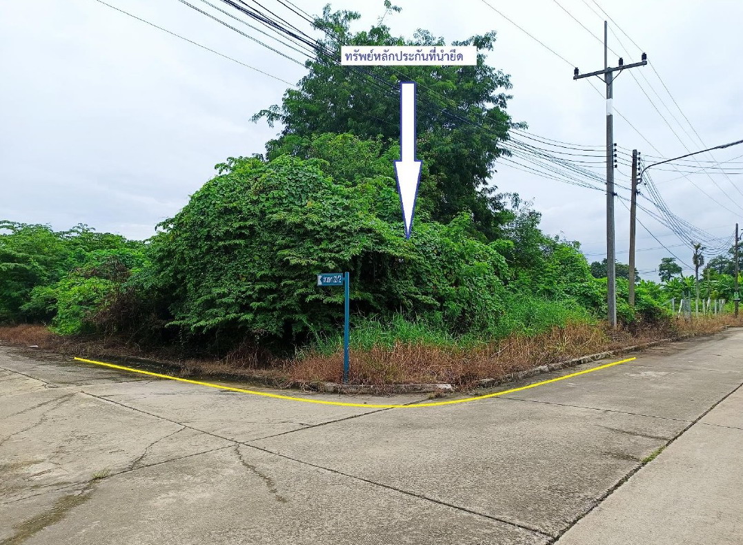 ขายทอดตลาด ที่ดินว่างเปล่า ต.บางกระเบา อ.นครชัยศรี จ.นครปฐม
