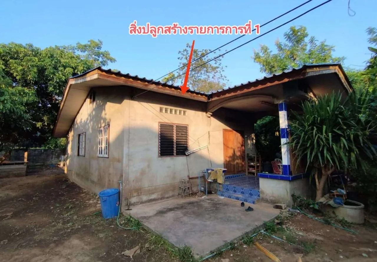 ขายทอดตลาด ที่ดินพร้อมสิ่งปลูกสร้าง ต.ไม้งาม อ.เมืองตาก จ.ตาก