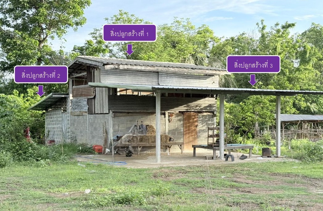 ขายทอดตลาด ที่ดินพร้อมสิ่งปลูกสร้าง ต.วังประจบ อ.เมืองตาก จ.ตาก