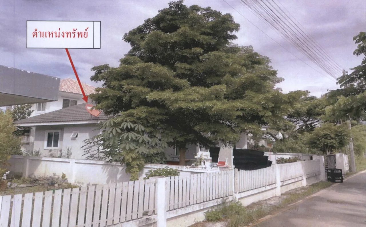 ขายทอดตลาด ที่ดินพร้อมสิ่งปลูกสร้าง ต.ป่าไผ่ อ.สันทราย จ.เชียงใหม่
