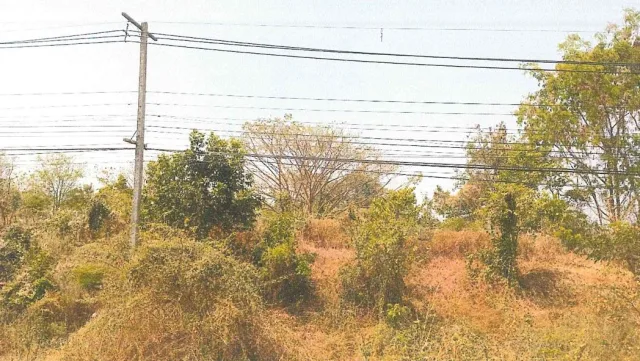 ขายทอดตลาด ที่ดินว่างเปล่า ต.ตากออก อ.บ้านตาก จ.ตาก
