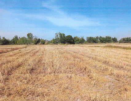 ขายทอดตลาด ที่ดินว่างเปล่า ต.ขมิ้น อ.เมืองกาฬสินธุ์ จ.กาฬสินธุ์