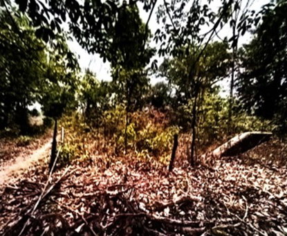 ขายทอดตลาด ที่ดินว่างเปล่า ต.น้ำก่ำ อ.ธาตุพนม จ.นครพนม